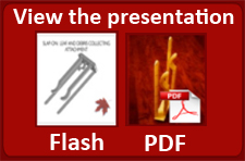Slap-On Presentation